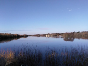 Sinah Lake Hayling Island